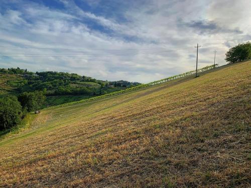 Podere Baratta agriturismo e cantina