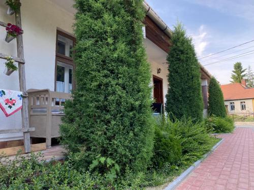 Exterior view, Nagymama Vendeghaza in Telkibanya