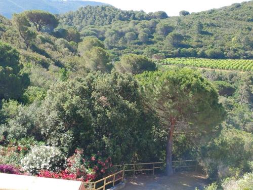  La mi´ Elba in Lacona