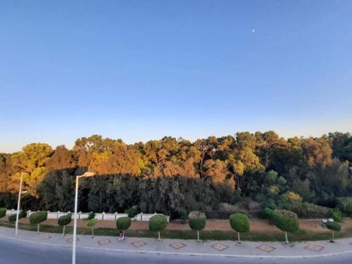 Jasmine Studio coquette