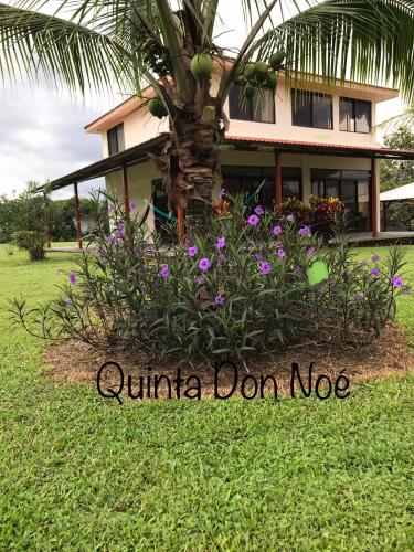 Quinta Don Noé