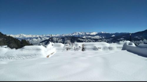 Majestic Himalayan homestay in Daroli