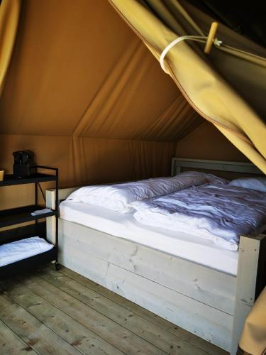 Nomad Knokke 4