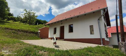  Vulcan Wine Resort Moscato in Celldömölk
