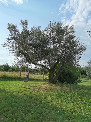 Apartments Casa Tijola Apartments Casa Tijola