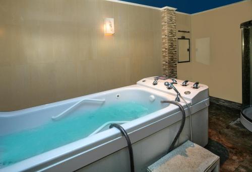 Spa Hotel Select - Halfboard - image 4