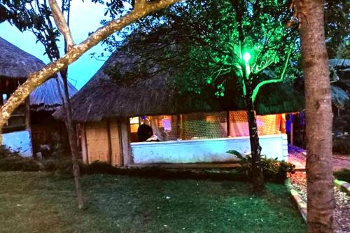 . Climbing Lion's Gate Safaris Camp