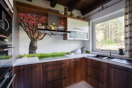 virtuve, Rekreacni dum Grimming in Mitterberg (Styria)
