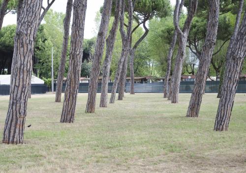 Casa per ferie Il Pioppo – Marina di Massa, WI
