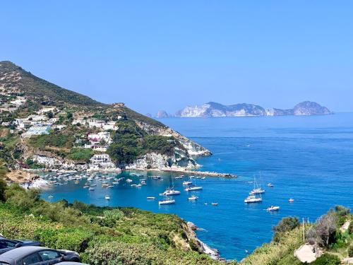 Hotel Ortensia Room Type - Double Room with Balcony and Sea View