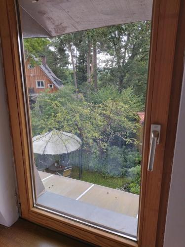Kräuter-Heidi - image 12