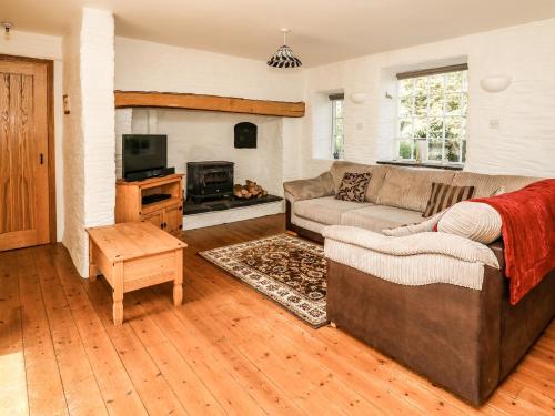 Spring Cottage, Llandysul (fotografie 8)