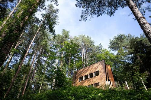 Bain de forêt - Lodges Cosy & Spa