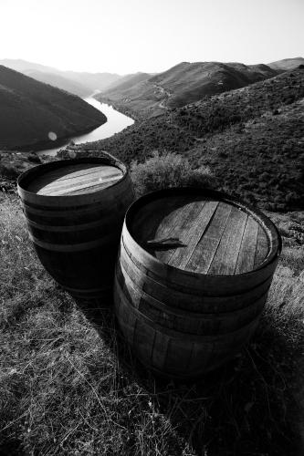Casa da Barca in Vila Nova de Foz Coa