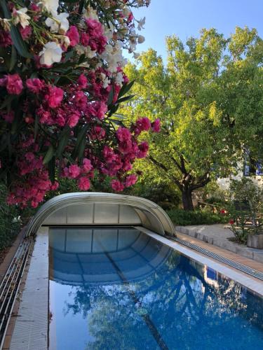  Casa esquina - House garden - Private swimming pool - parking in Cadaqués