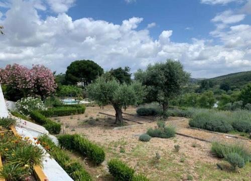 Quinta da Barca Nemo