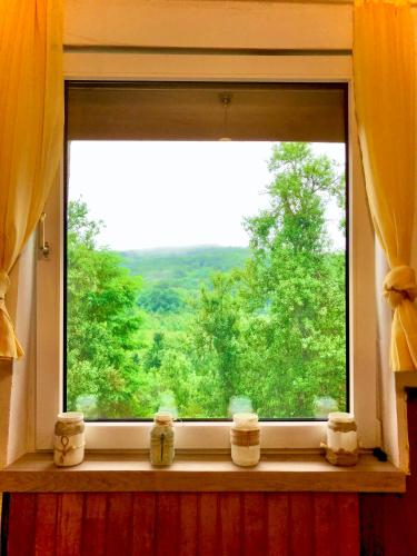 virtuve, Guesthouse D&D in Ličko Petrovo Selo