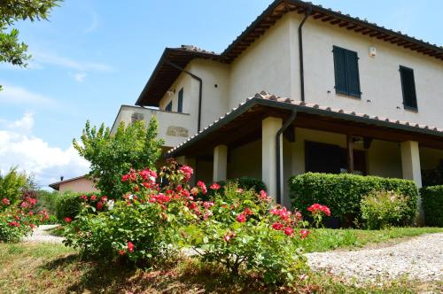 Kert, Le Volpaie in Colle di Val d' Elsa