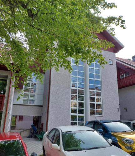 Vėjo kopa, Juodkrantė (zdjęcie 5)