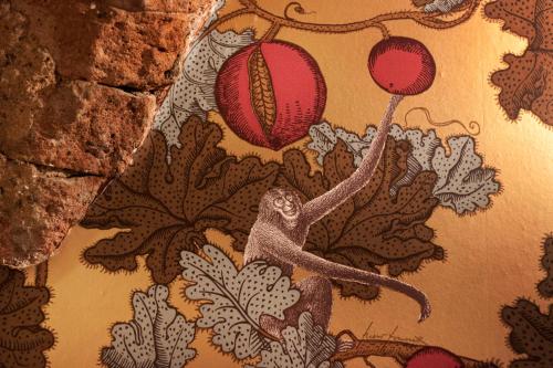 Ca' Monteggia Guest House - image 13