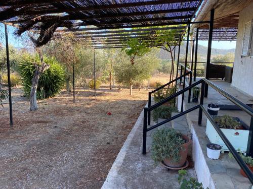 Cosy Calm Cottage in olive trees with sea view