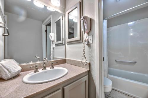 437 Pine Grove - image 3
