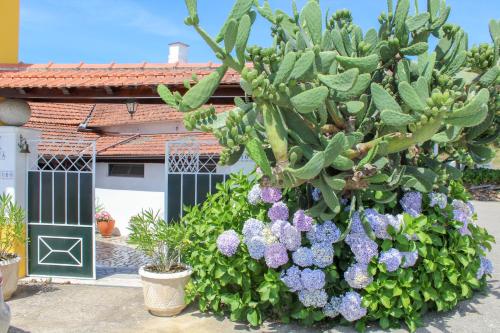 Quinta de Vale Escuro