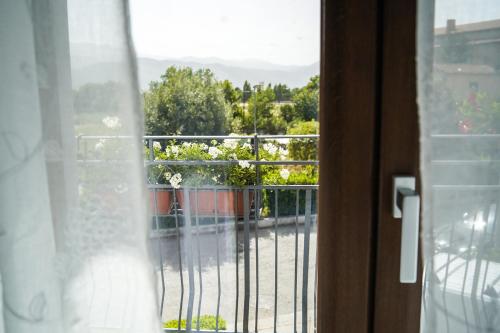 周邊環境, Agriturismo Demetra, b&b Demetra in 帕杜拉