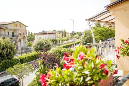 外部景觀, Agriturismo Demetra, b&b Demetra in 帕杜拉