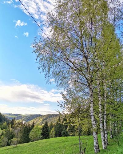 Forrest Hill kuća za odmor na Zlataru - image 9