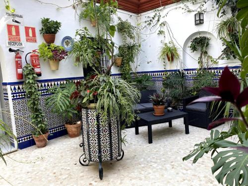 Létesítmények, Hostal Mellizo in Lebrija