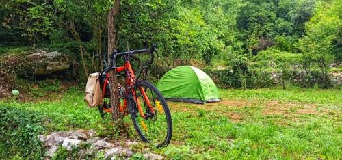 Auto camp Radoman - image 4