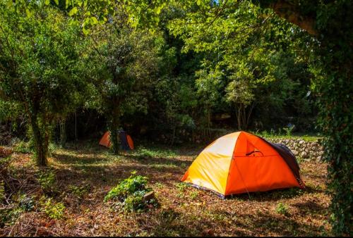Auto camp Radoman - image 5