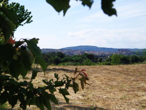 Agriturismo Fontelupo