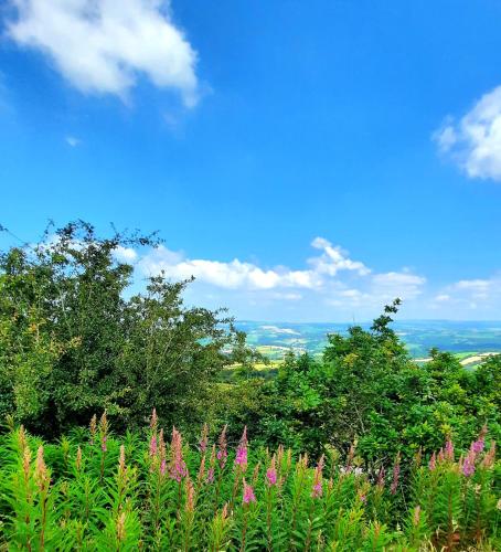 Summit Camping Kit Hill Cornwall Stunning Views Pitch Up or book Bella the Bell Tent