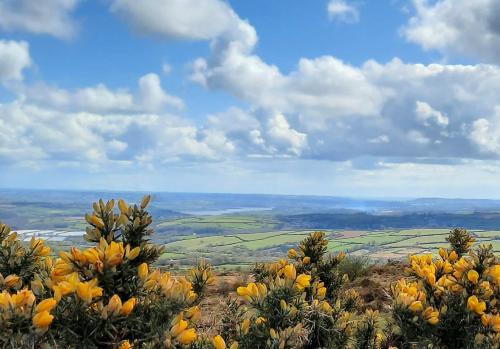 Summit Camping Kit Hill Cornwall Stunning Views Pitch Up or book Bella the Bell Tent