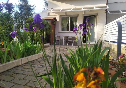 Appartamento Signorini Bolognaholidayhome - Parcheggio e Giardino privato - Holiday House Bologna Garden Parking, Болонья (фото 6)