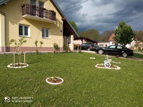 Yellow Rose, Rakovica (foto 3)