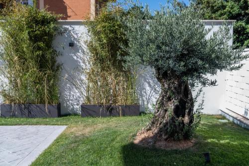 Grey House Guest House Luxury 5