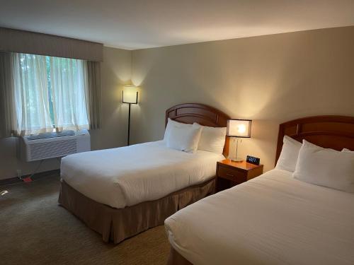 Best Western Dubois Hotel & Conference Center - image 5