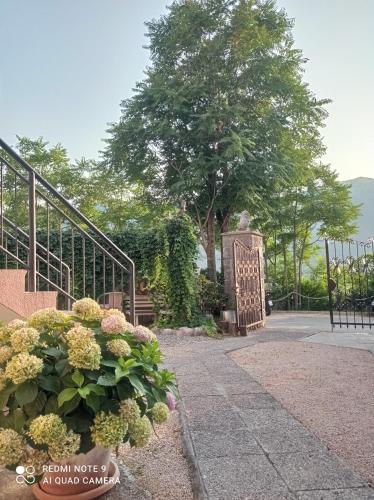 One-Bedroom Apartment with Terrace room in Apartments Dakovic M