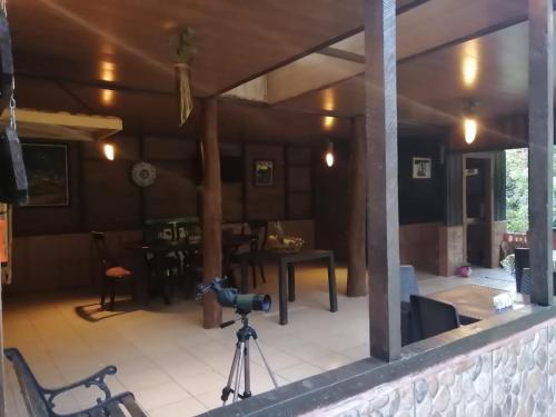 Cecropia Ecolodge, Fortuna (zdjęcie 5)