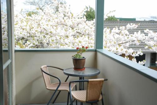 ระเบียง/ชานเรือน, เซ็นทรัลปาร์ค มอเตอร์ลอดจ์ (Central Park Motor Lodge) near โมนาวาเล