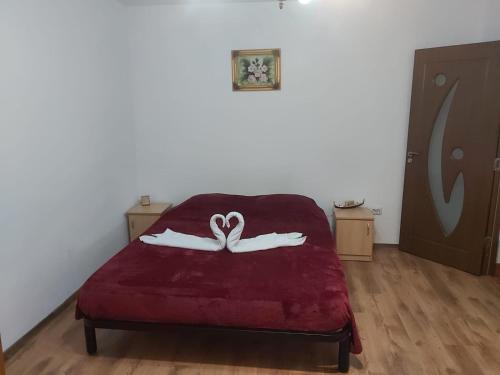 Apartament Nemira