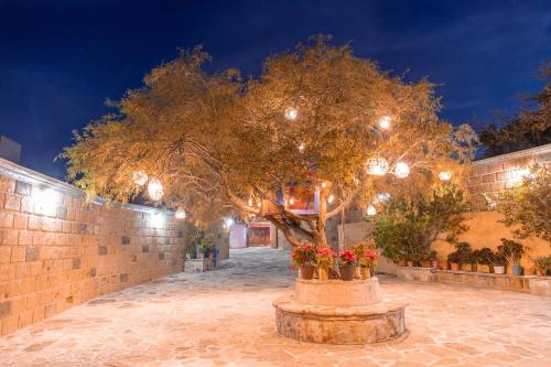 Hotel Casa del Arbol in Bernal, Mexico