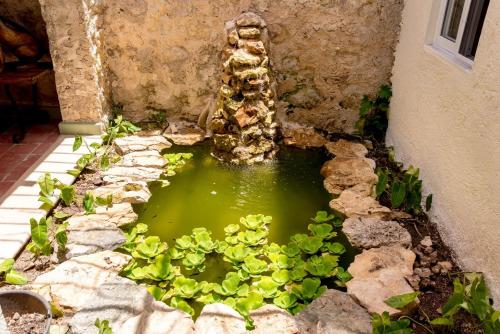 Casa Palmas by Majikal B&B in Mérida, Mexico
