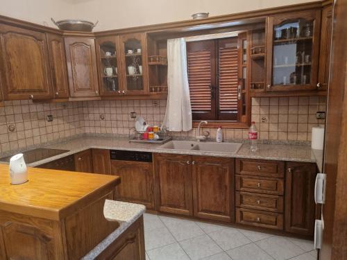 Apartment Theodoros in Leonidion