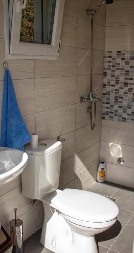 Auto camp Radoman - image 12