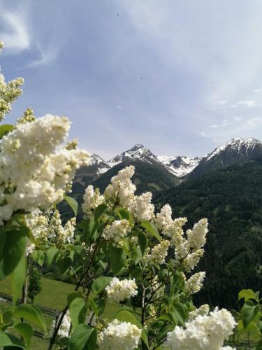 Ferienhaus Innerkienzerhof - Urlaub am Bauernhof