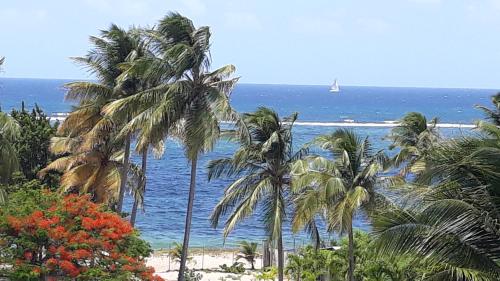 Studio à la semaine, au mois ou plus - Location saisonnière - Le Moule